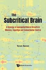 Subcritical Brain, The: A Synergy Of Segregated Neural Circuits In Memory, Cognition And Sensorimotor Control