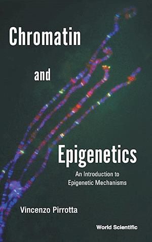 Chromatin And Epigenetics: An Introduction To Epigenetic Mechanisms