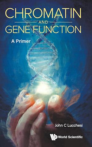 Chromatin And Gene Function: A Primer