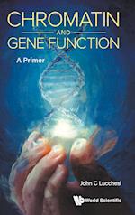 Chromatin And Gene Function: A Primer