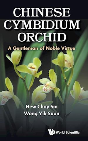 Chinese Cymbidium Orchid: A Gentleman Of Noble Virtue
