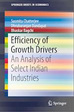 Efficiency of Growth Drivers