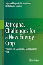 Jatropha, Challenges for a New Energy Crop