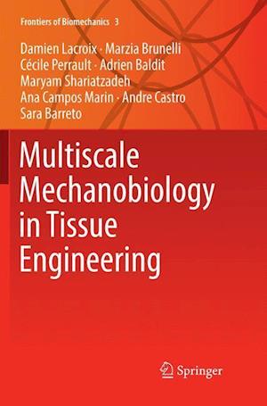 Multiscale Mechanobiology in Tissue Engineering