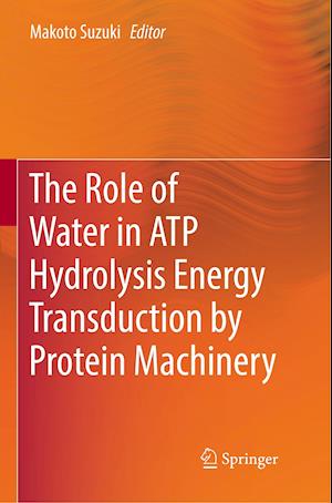 The Role of Water in ATP Hydrolysis Energy Transduction by Protein Machinery