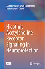 Nicotinic Acetylcholine Receptor Signaling in Neuroprotection