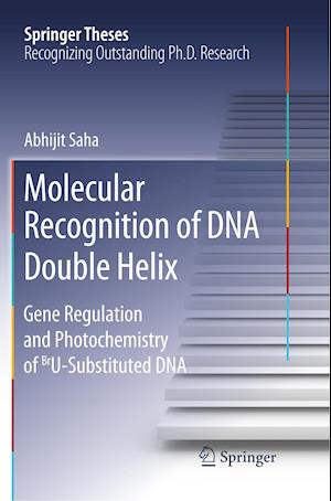 Molecular Recognition of DNA Double Helix