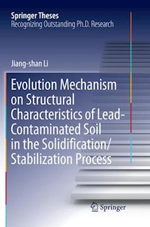 Evolution Mechanism on Structural Characteristics of Lead-Contaminated Soil in the Solidification/Stabilization Process