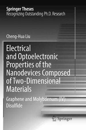 Electrical and Optoelectronic Properties of the Nanodevices Composed of Two-Dimensional Materials