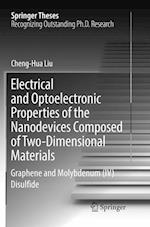 Electrical and Optoelectronic Properties of the Nanodevices Composed of Two-Dimensional Materials