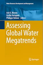 Assessing Global Water Megatrends