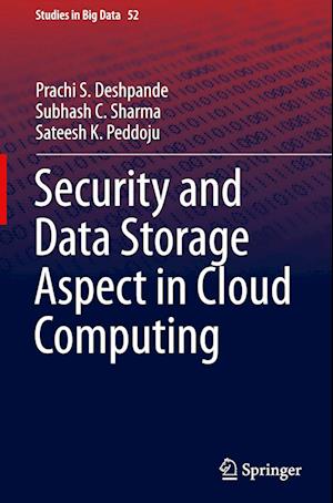 Security and Data Storage Aspect in Cloud Computing