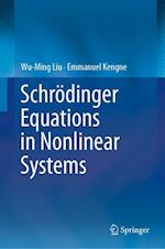 Schroedinger Equations in Nonlinear Systems