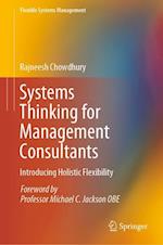 Systems Thinking for Management Consultants