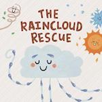 The Raincloud Rescue 