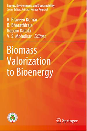 Biomass Valorization to Bioenergy