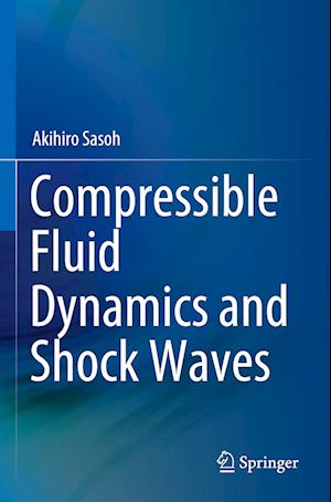 Compressible Fluid Dynamics and Shock Waves