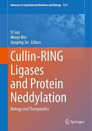 Cullin-RING Ligases and Protein Neddylation