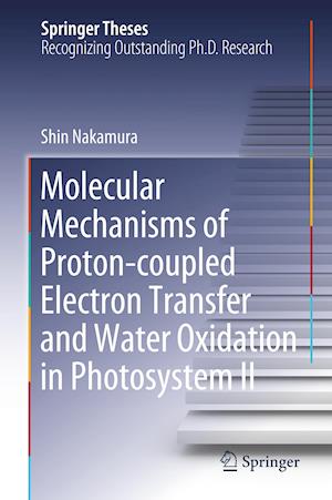 Molecular Mechanisms of Proton-coupled Electron Transfer and Water Oxidation in Photosystem II