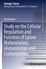 Study on the Cellular Regulation and Function of Lysine Malonylation, Glutarylation and Crotonylation