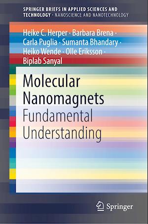 Molecular Nanomagnets