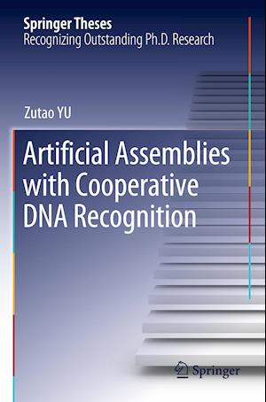 Artificial Assemblies with Cooperative DNA Recognition