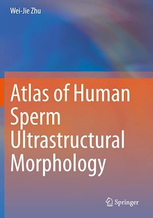 Atlas of Human Sperm Ultrastructural Morphology