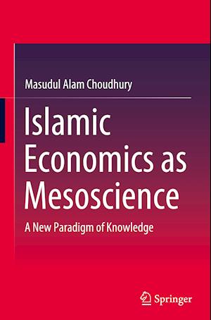 Islamic Economics as Mesoscience