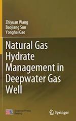 Natural Gas Hydrate Management in Deepwater Gas Well