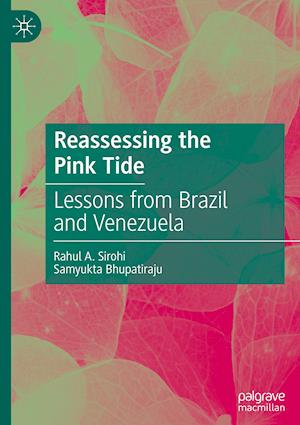 Reassessing the Pink Tide