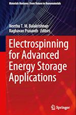 Electrospinning for Advanced Energy Storage Applications
