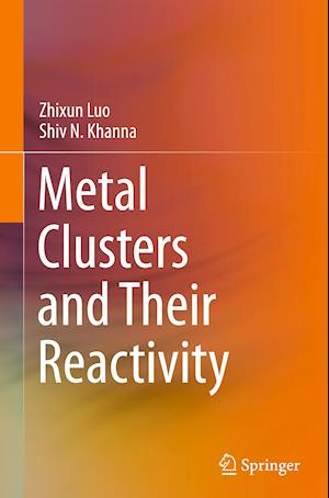 Metal Clusters and Their Reactivity