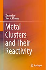 Metal Clusters and Their Reactivity