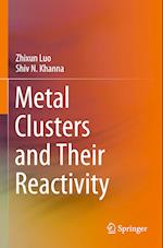 Metal Clusters and Their Reactivity 