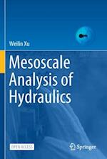Mesoscale Analysis of Hydraulics 