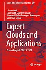 Expert Clouds and Applications