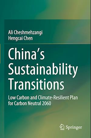 China's Sustainability Transitions