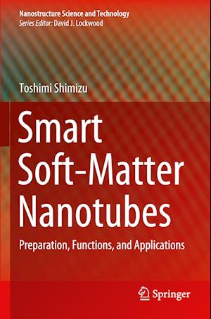 Smart Soft-Matter Nanotubes