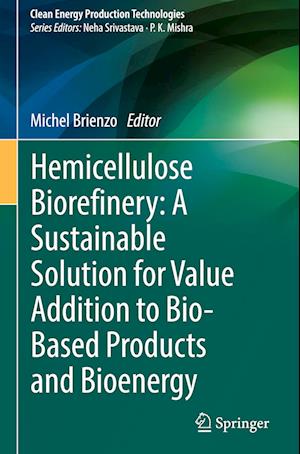 Hemicellulose Biorefinery: A Sustainable Solution for Value Addition to Bio-Based Products and Bioenergy