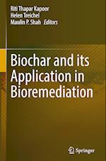 Biochar and its Application in Bioremediation