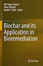 Biochar and its Application in Bioremediation