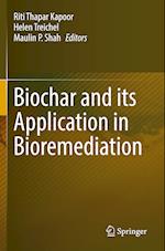 Biochar and its Application in Bioremediation