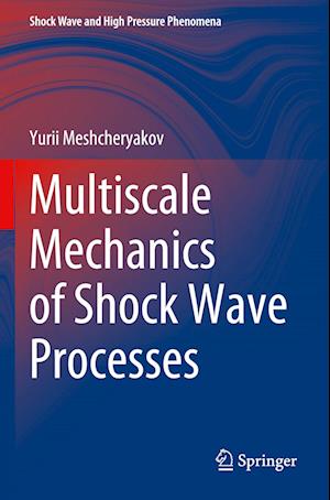 Multiscale Mechanics of Shock Wave Processes