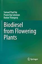 Biodiesel from Flowering Plants