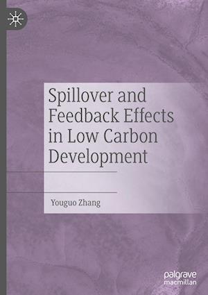 Spillover and Feedback Effects in Low Carbon Development