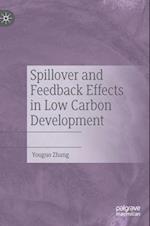 Spillover and Feedback Effects in Low Carbon Development