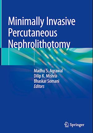 Minimally Invasive Percutaneous Nephrolithotomy