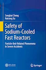 Safety of Sodium-Cooled Fast Reactors