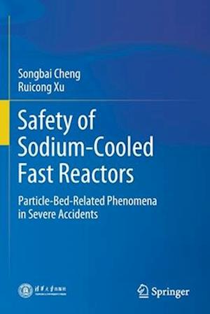 Safety of Sodium-Cooled Fast Reactors