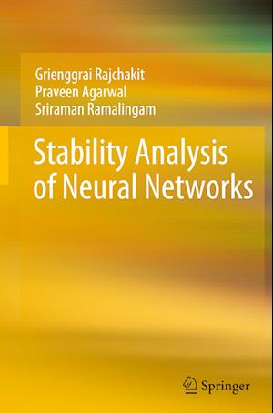 Stability Analysis of Neural Networks